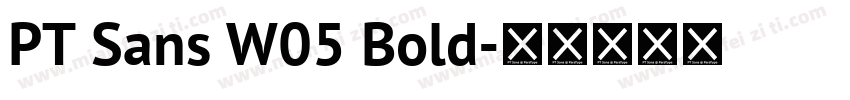 PT Sans W05 Bold字体转换